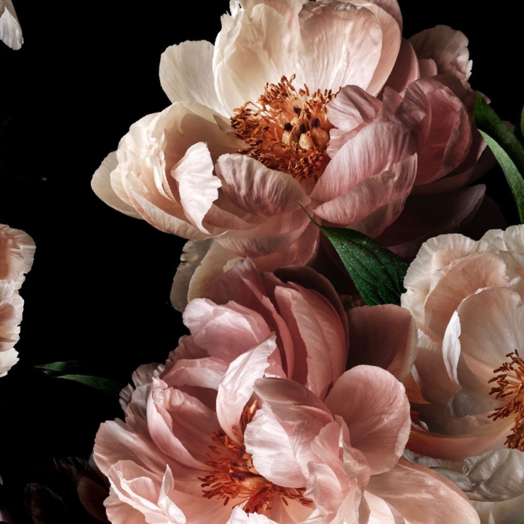 Design image for design ID 13295575